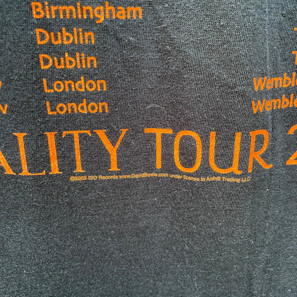 Vintage David Bowie Reality T-Shirt 2003 Detail